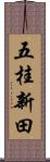 五桂新田 Scroll