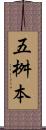 五桝本 Scroll