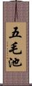 五毛池 Scroll