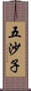 五沙子 Scroll