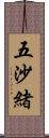 五沙緒 Scroll
