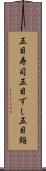 五目寿司 Scroll
