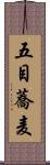 五目蕎麦 Scroll