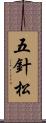 五針松 Scroll