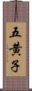 五黄子 Scroll