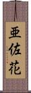 亜佐花 Scroll
