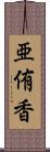亜侑香 Scroll