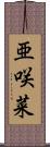 亜咲菜 Scroll