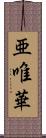 亜唯華 Scroll