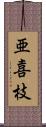 亜喜枝 Scroll