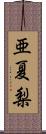 亜夏梨 Scroll