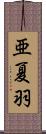亜夏羽 Scroll