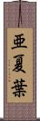 亜夏葉 Scroll