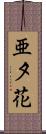 亜夕花 Scroll