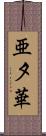 亜夕華 Scroll