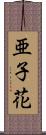 亜子花 Scroll