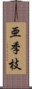 亜季枝 Scroll