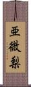 亜微梨 Scroll
