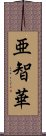 亜智華 Scroll