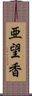 亜望香 Scroll