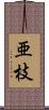 亜枝 Scroll