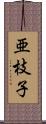 亜枝子 Scroll