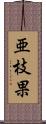 亜枝果 Scroll