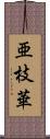 亜枝華 Scroll