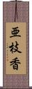 亜枝香 Scroll