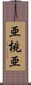 亜桃亜 Scroll