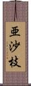 亜沙枝 Scroll