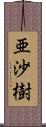 亜沙樹 Scroll