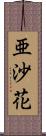 亜沙花 Scroll