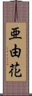 亜由花 Scroll
