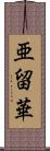 亜留華 Scroll