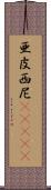 亜皮西尼(ateji) Scroll