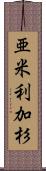 亜米利加杉 Scroll