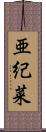 亜紀菜 Scroll