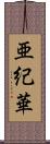 亜紀華 Scroll