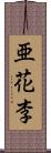 亜花李 Scroll