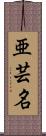 亜芸名 Scroll