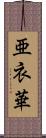 亜衣華 Scroll