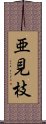 亜見枝 Scroll