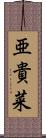 亜貴菜 Scroll