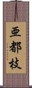 亜都枝 Scroll