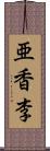 亜香李 Scroll