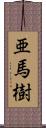 亜馬樹 Scroll