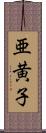 亜黄子 Scroll