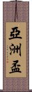 亞洲盃 Scroll