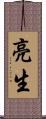 亮生 Scroll